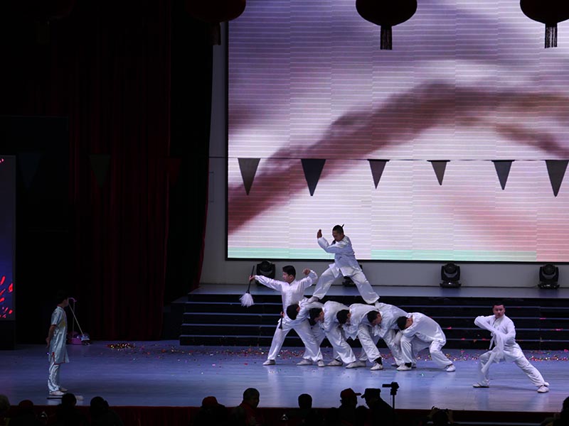 中國(guó)功夫表演